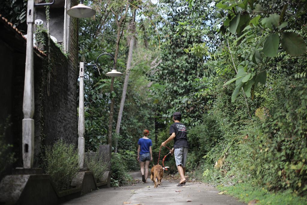 Rumah Senjakala Bantul Exteriér fotografie